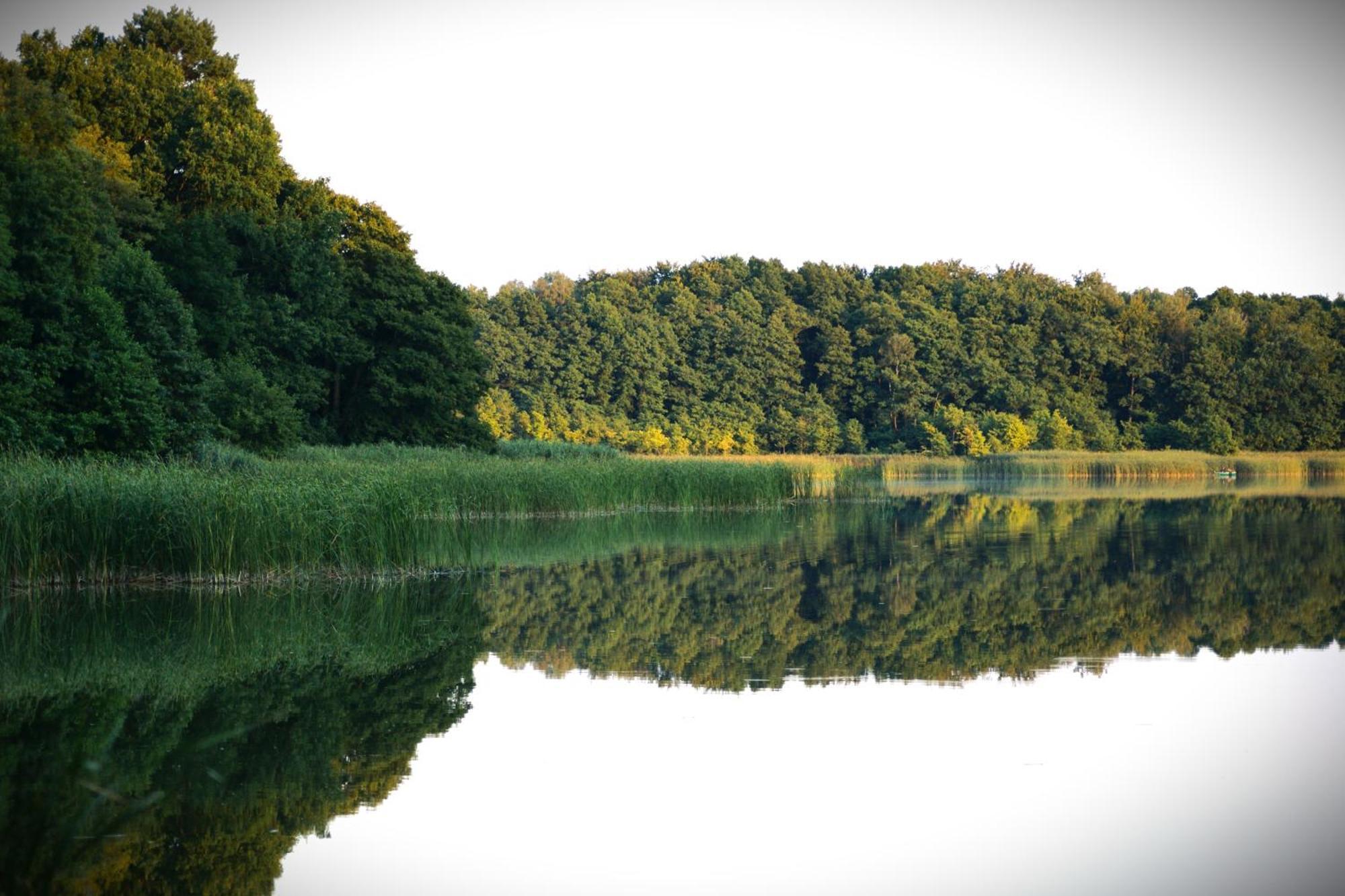Wrzosowy Mlyn - Twoje Miejsce Nad Jeziorem Międzyrzecz Buitenkant foto