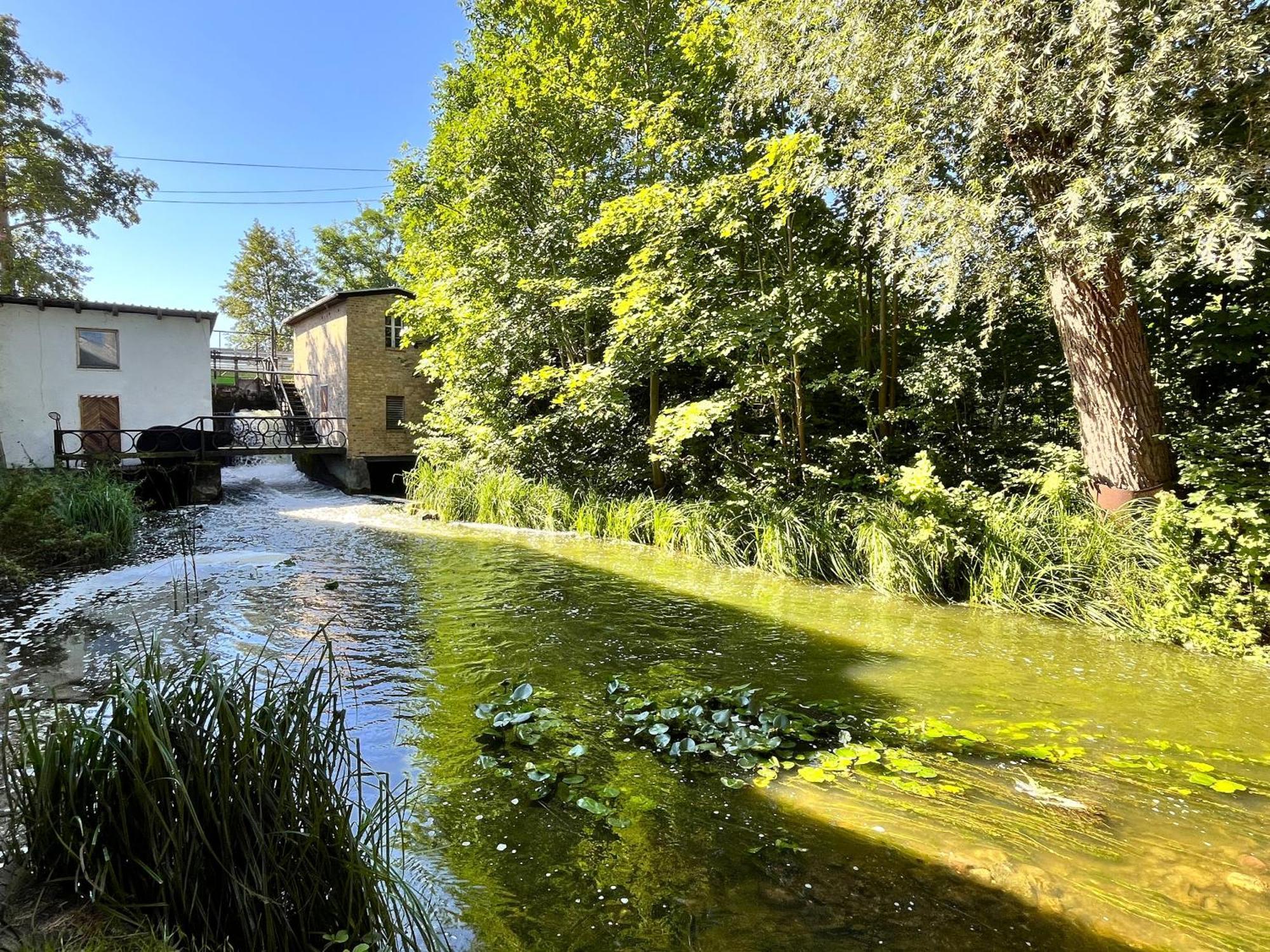 Wrzosowy Mlyn - Twoje Miejsce Nad Jeziorem Międzyrzecz Buitenkant foto